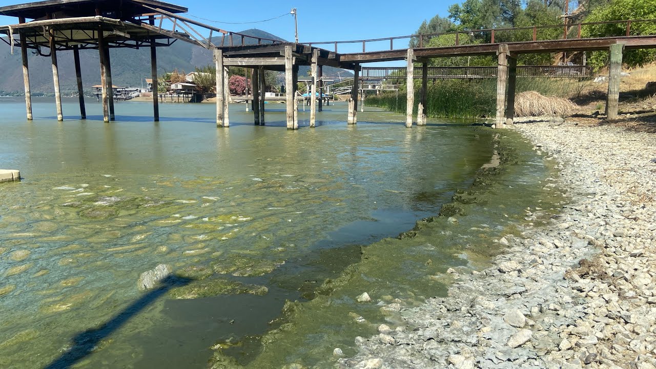 What happened to the lake ( The ugly truth of ClearLake)