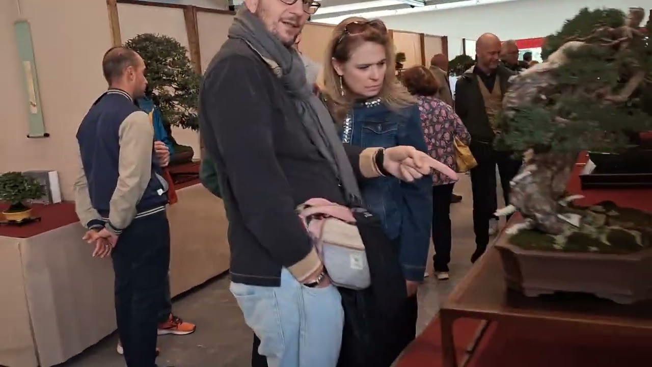 26°Mostra Coordinamento bonsai  Piemonte-Lombardia 