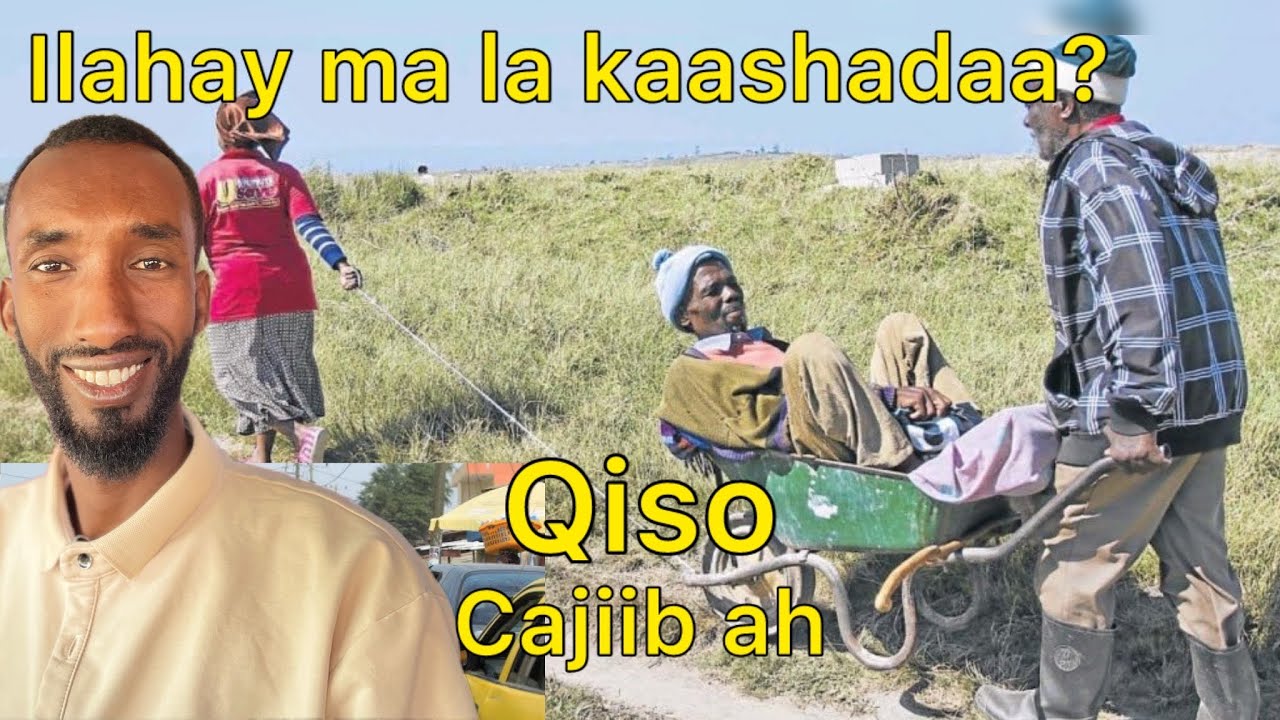 SHeeko qosal leh illahay ma la kaashadaa? bad buu galay