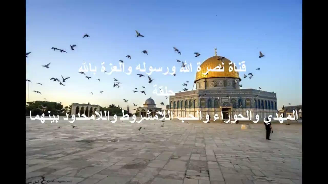 المهدي والحوراء والحب اللامشروط واللامحدود بينهما