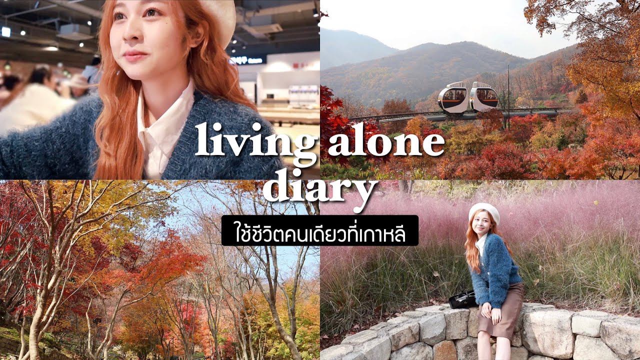 🇰🇷 living alone diary. บ๊ายบายใบไม้เปลี่ยนสี/เที่ยวนอกโซลกับเพื่อน/พูดเกาหลี | Babyjingko