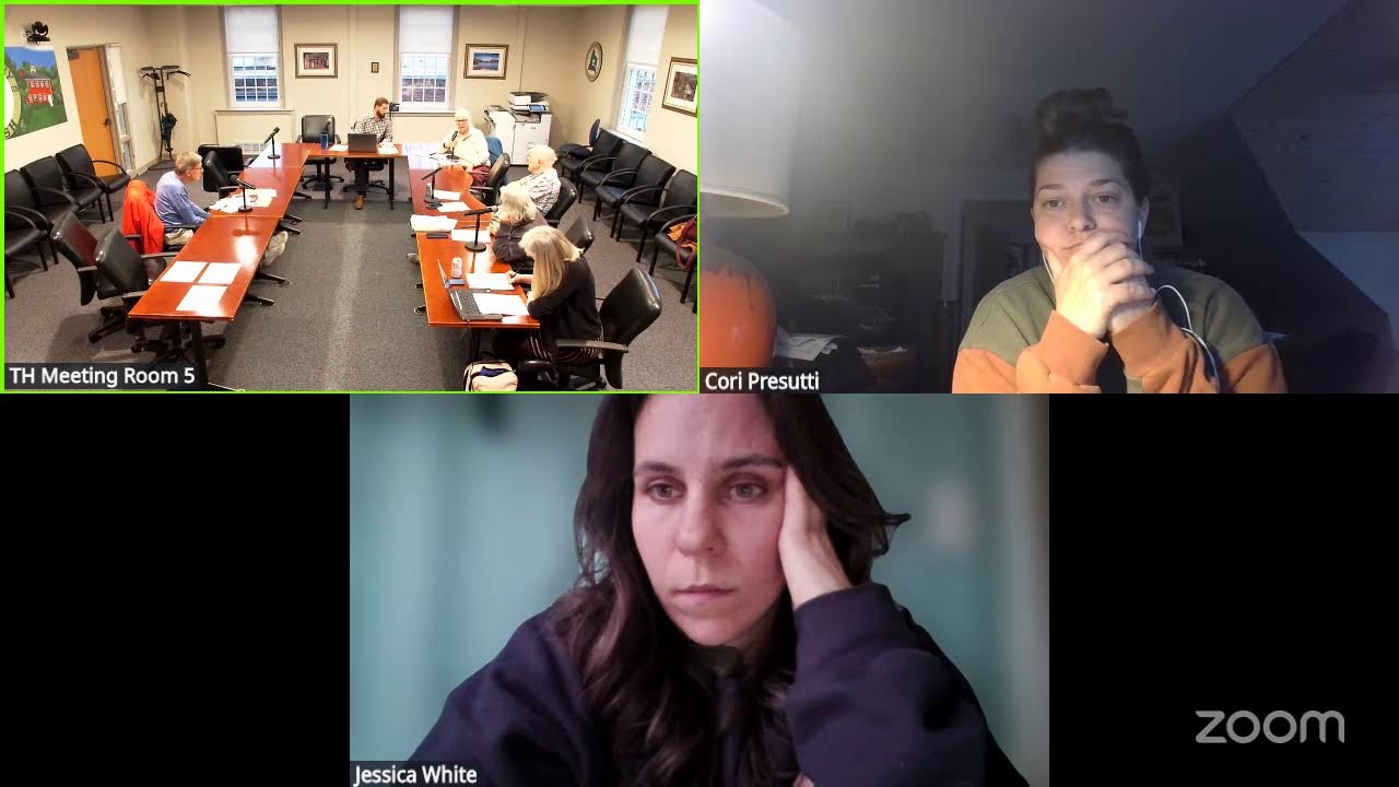 Conservation, Energy and Environment Committee Meeting - March 12, 2026