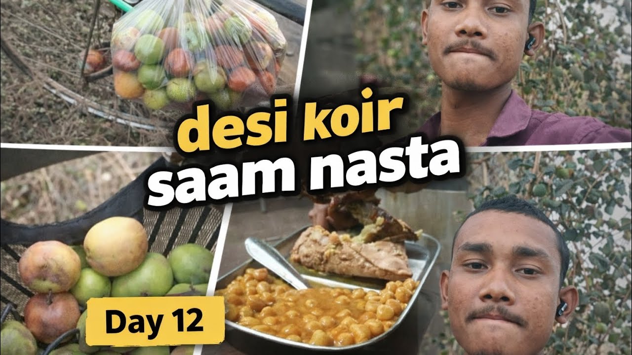 Desi  koir my vlog video
