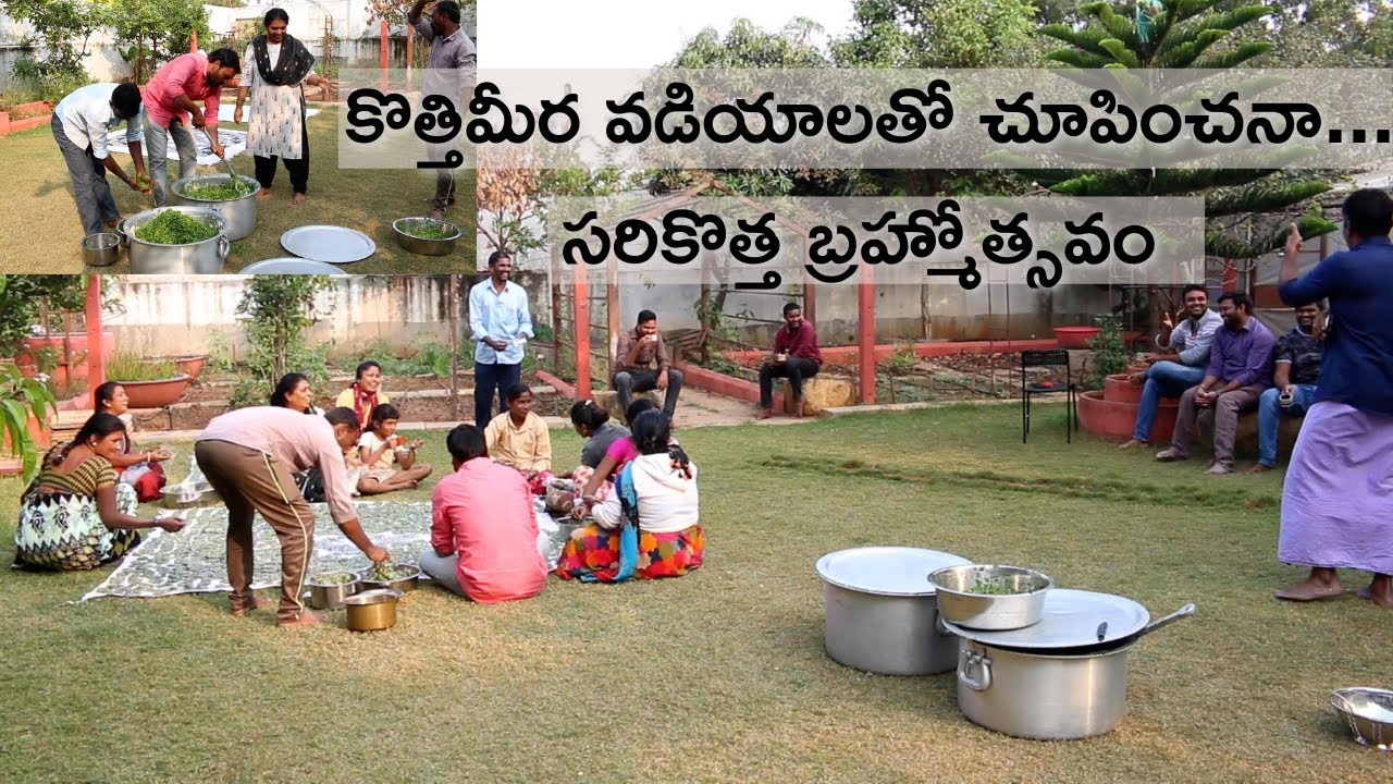 కొత్త కుటుంబం తో కొత్తిమీర వడియాలు/ Dhaniya patha vadiyalu/Ummadi kutumbam/Live village life.
