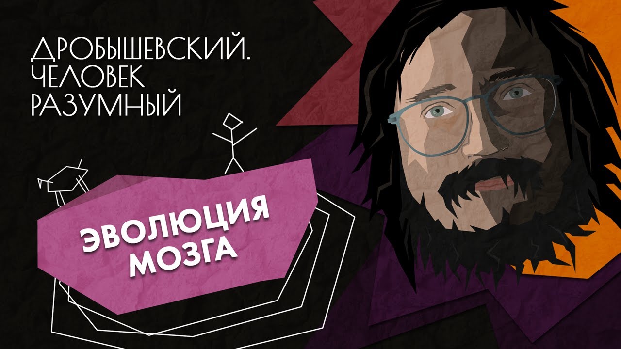 Эволюция мозга // Дробышевский. Человек разумный