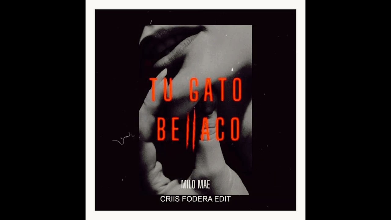Milo Mae - Tu gato bellaco ( Criis Fodera edit)