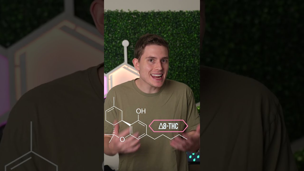 What is With All These THC Cannabis Alternatives?