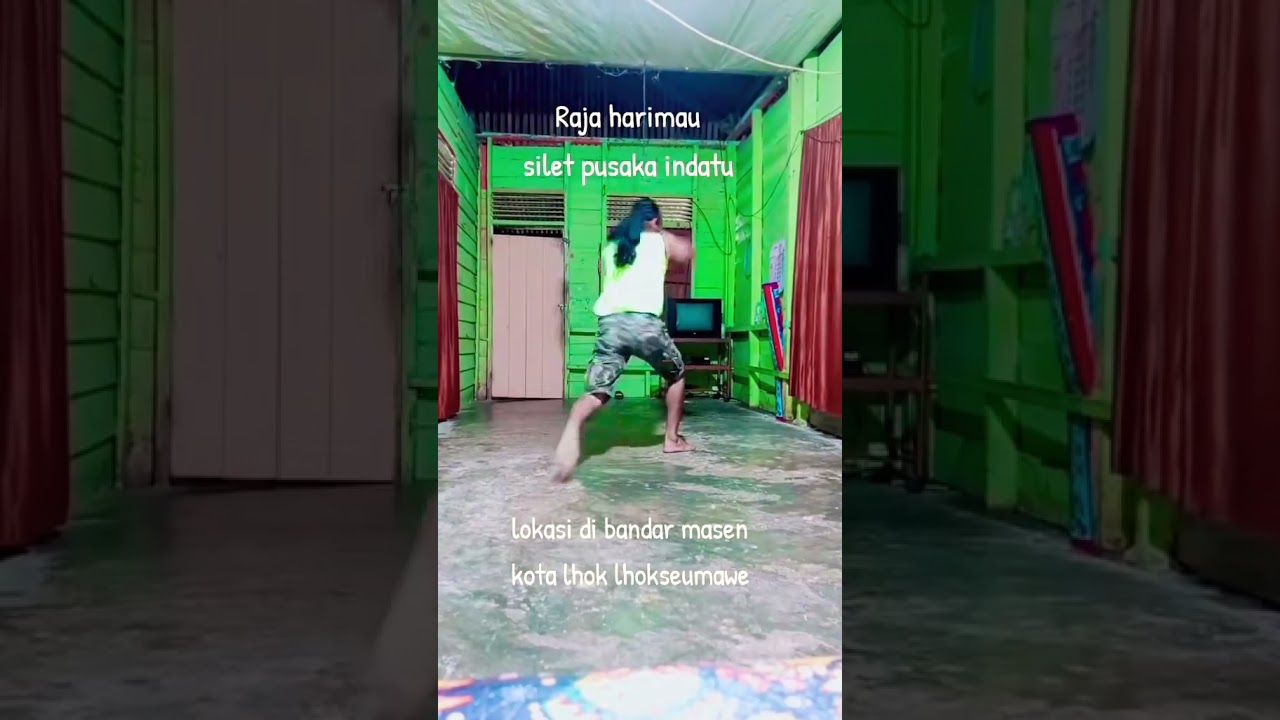 SENI BUDAYA ACEH