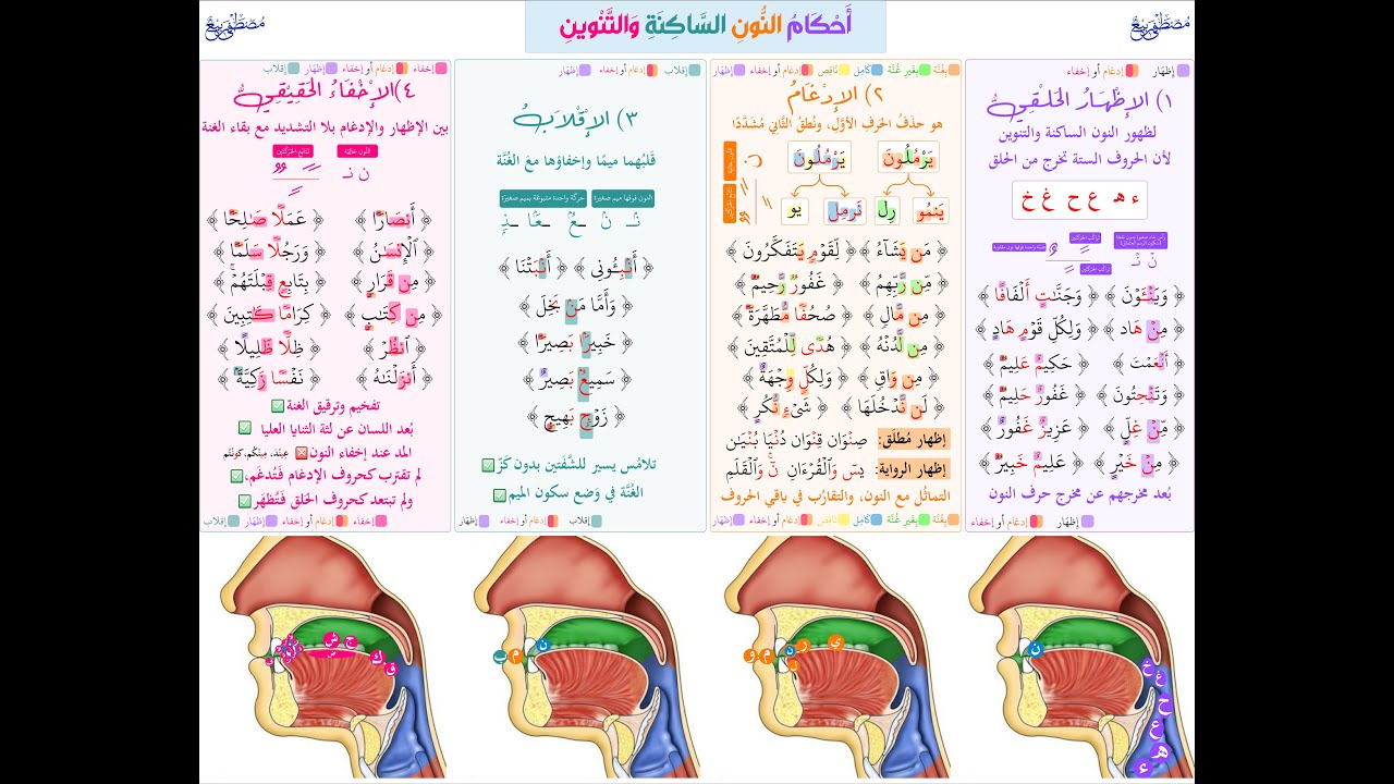 ملخص أحكام النون الساكنة والتنوين بطريقة سهلة مع توضيح لمخارج الحروف