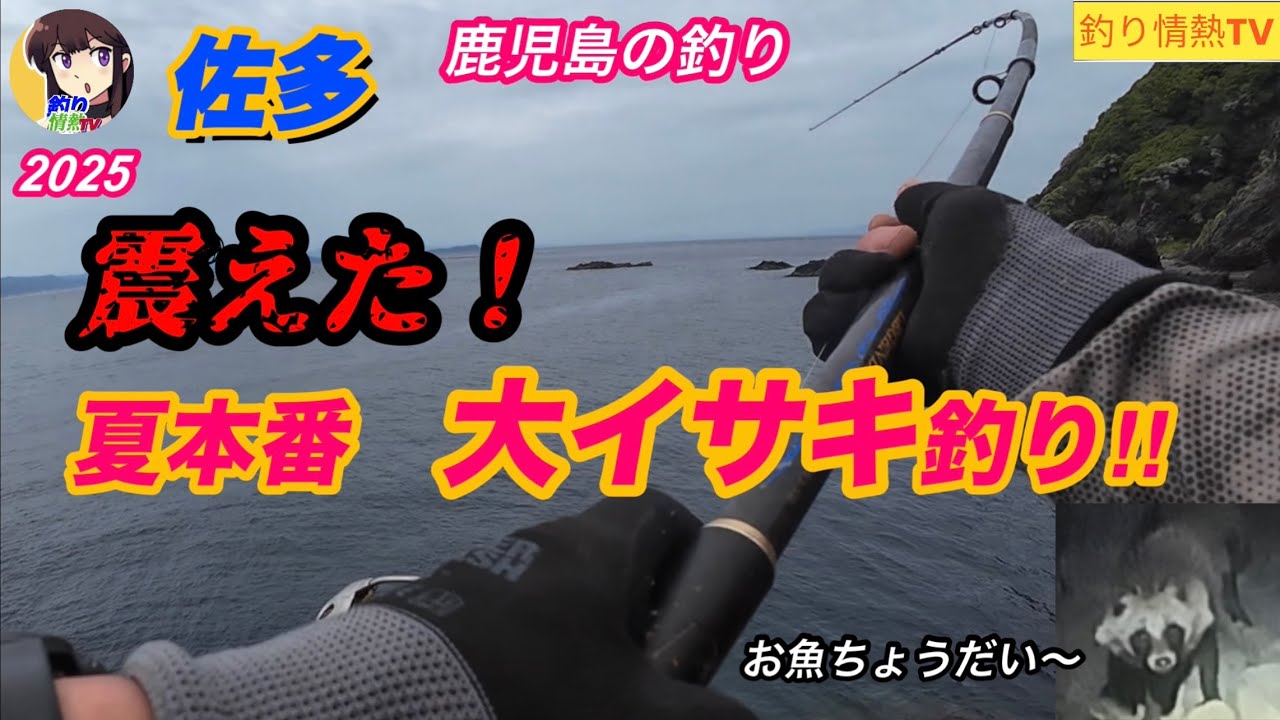 佐多地磯❗️夏本番、大イサキ釣り￼！今年の海　何かがおかしい⁉️#釣り情熱tv #鹿児島釣り #遠投カゴ釣り ￼