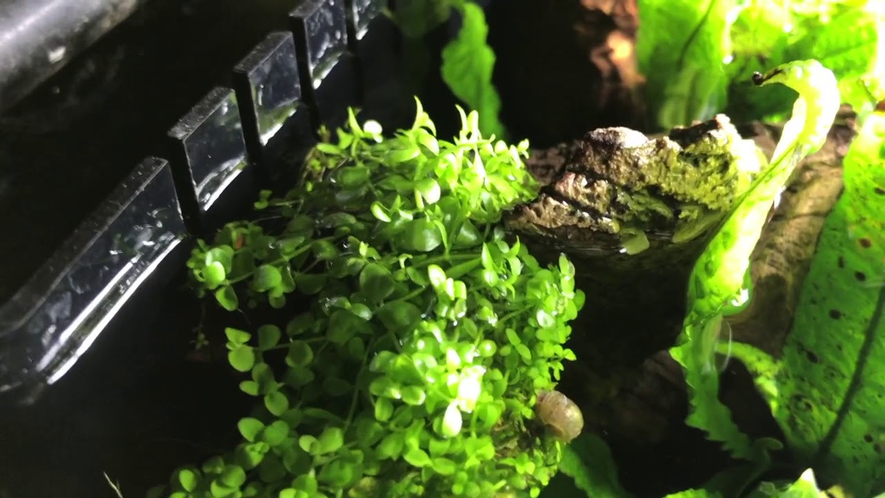 Denitrification Testing of 30 aquariums, The results will shock you.