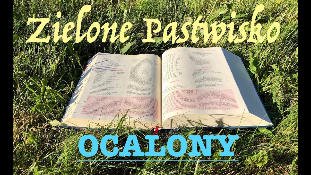 Zielone Pastwisko 21.02.2026 „OCALONY