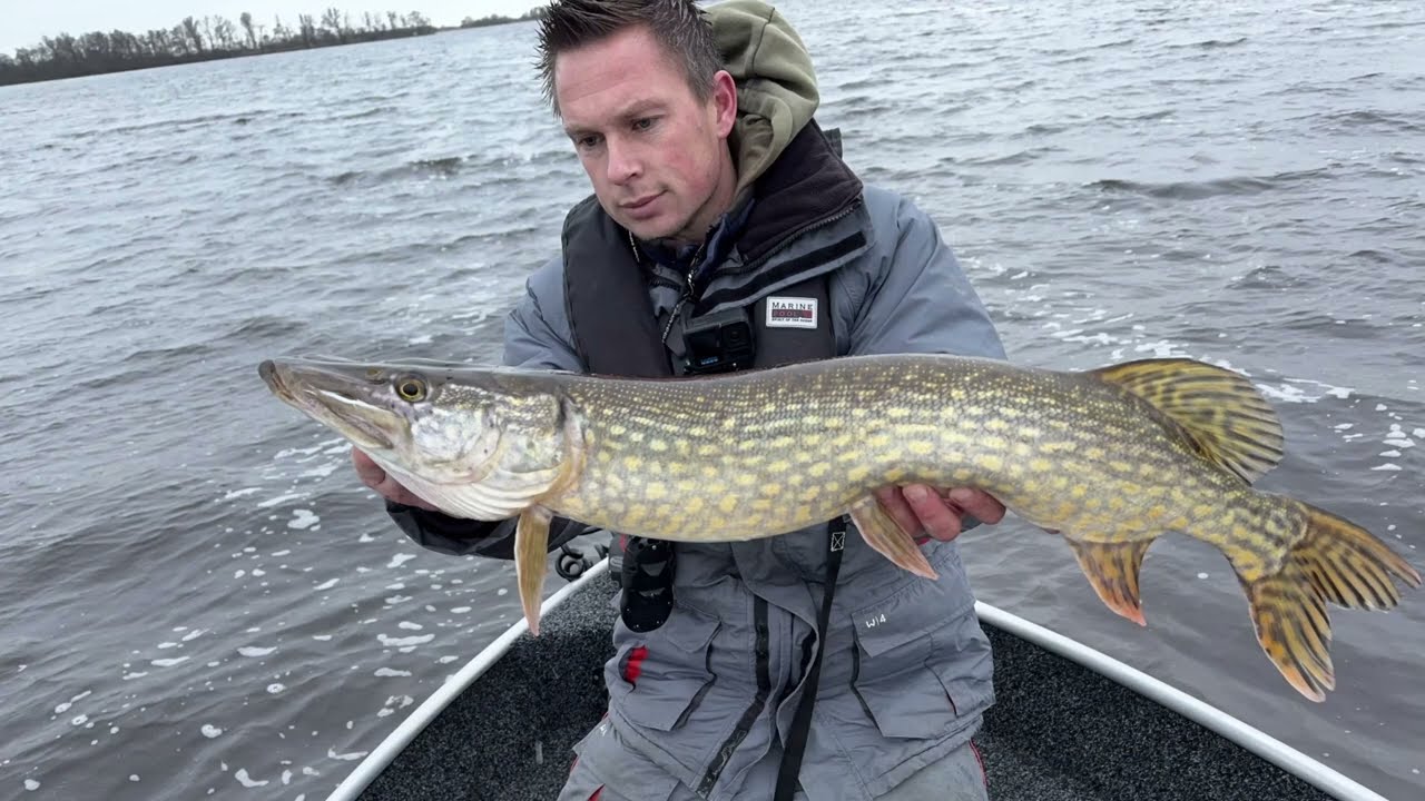 Fireball fishing in Januari