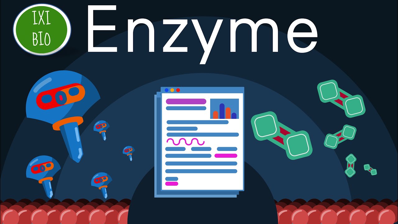 Ohne Enzyme geht nichts - empfehlenswert zum BioAbi - Tutorial zu Enzymen von meinem Schüler Julian