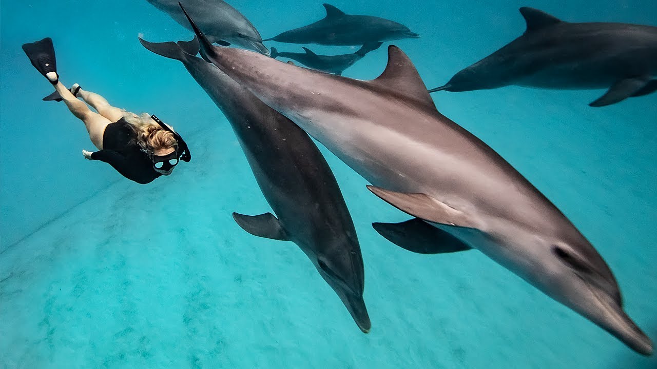 THE 2 MOST BUCKET LIST THINGS TO DO IN ZANZIBAR. Ultimate African Adventures!