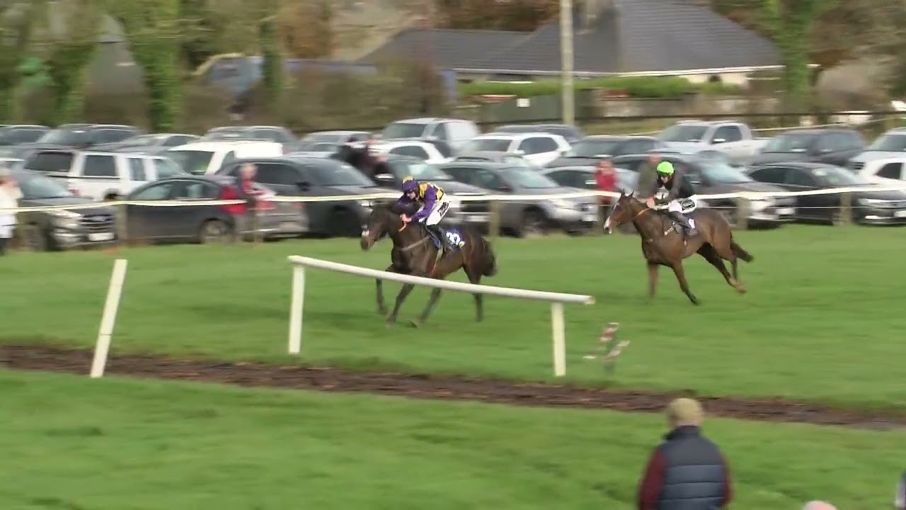 P2P - Duhallow - 09 Nov 2025 - R2 Tattersalls Ireland November NH Sale 4yo Geldings Maiden