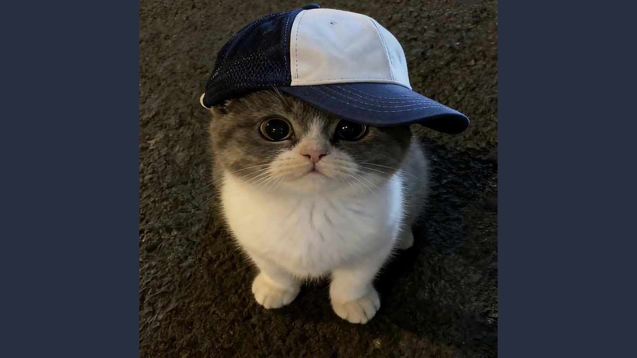 anh met roi