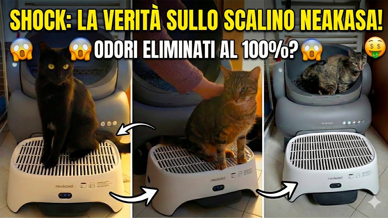 Recensione NEAKASA: Unboxing Scalino Niente più Odori e Sabbia? 🫧 ASMR ITA con i miei Gatti
