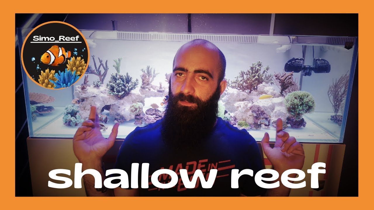 acquario marino - shallow reef