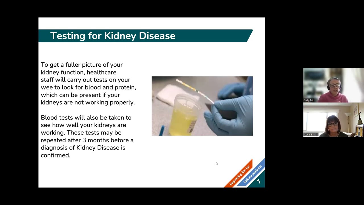 An introduction to kidney disease
