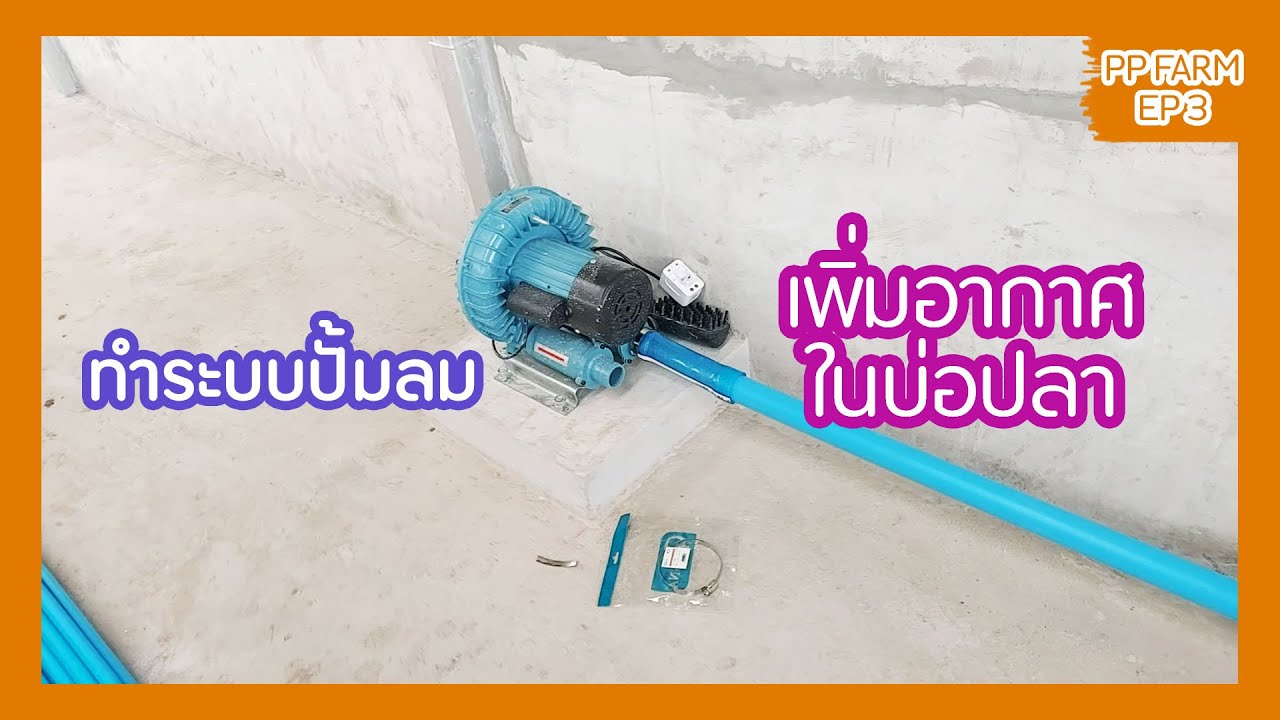 ทำระบบปั้มลมเพื่อเพิ่มอากาศในบ่อปลา