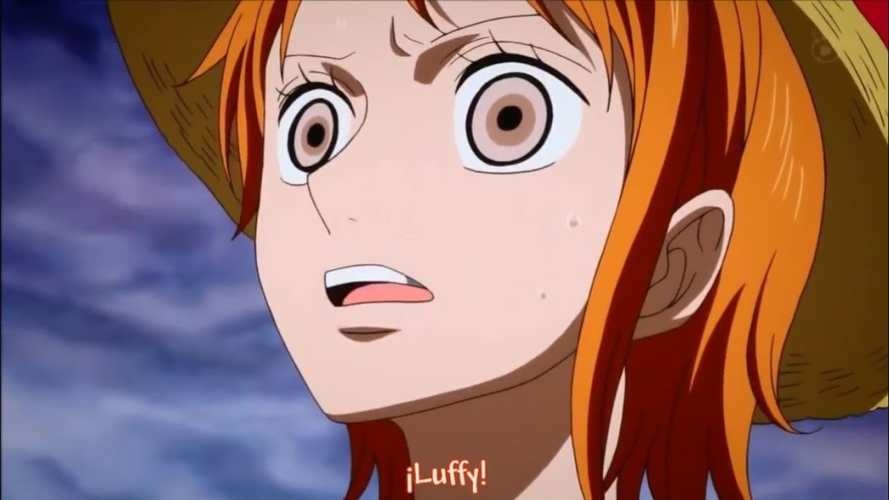 One Piece - Hard Knock Days (AMV)