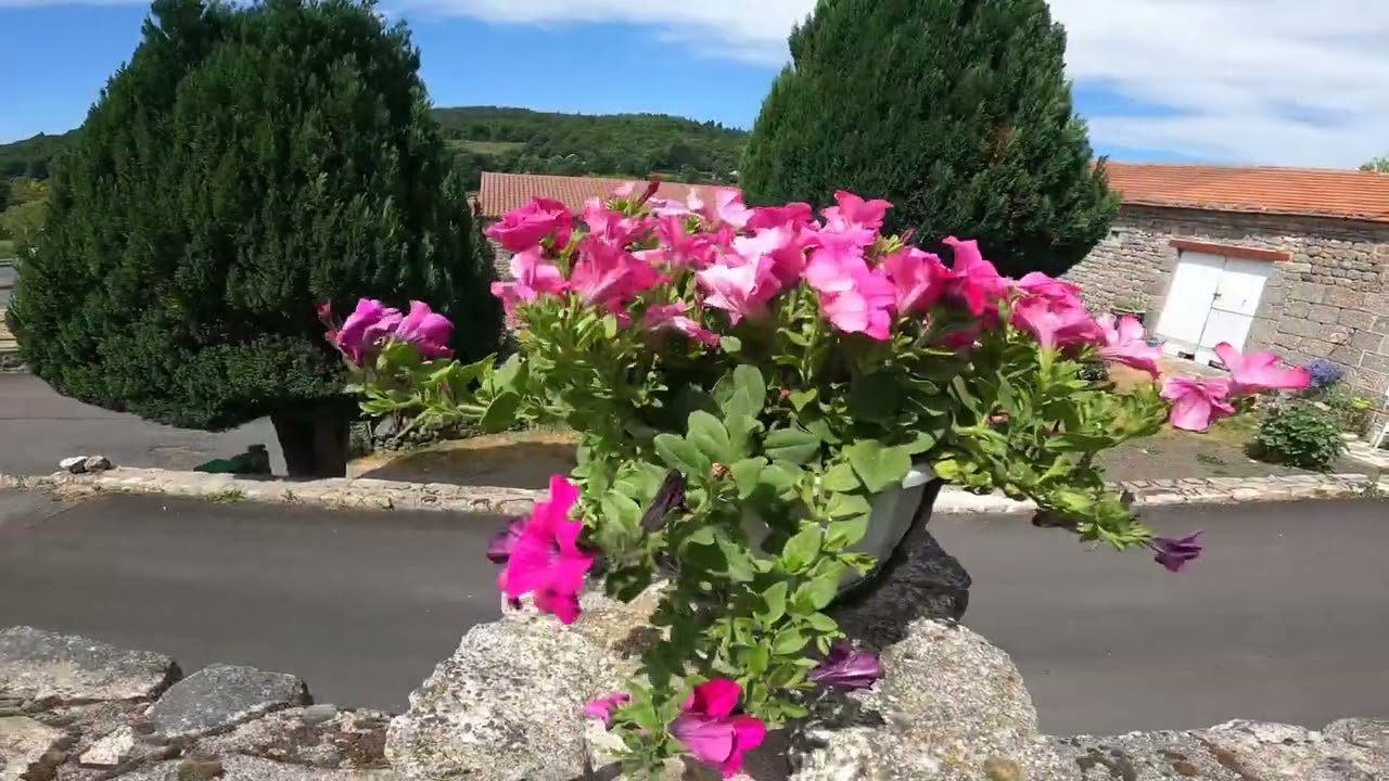 Camino Podiensis - Day 3. Saugues to Le Sauvage