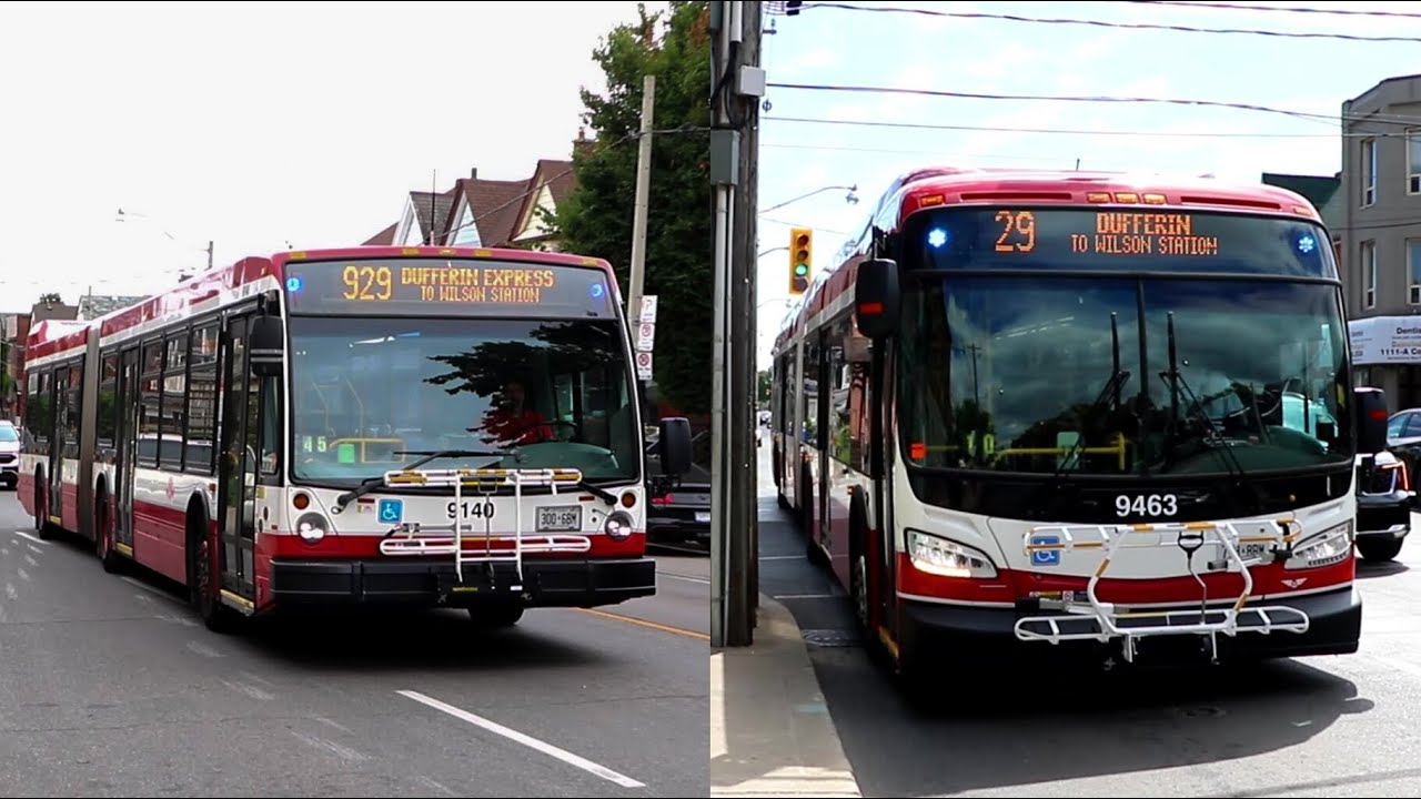 Toronto Transit Commission Route 29 & 929 Express Articulated Bus Action