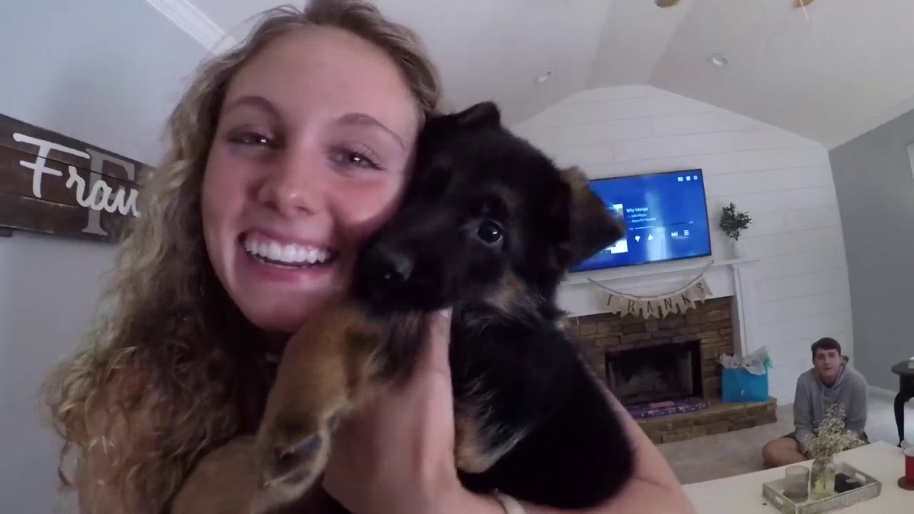 WE GOT A GERMAN SHEPHERD