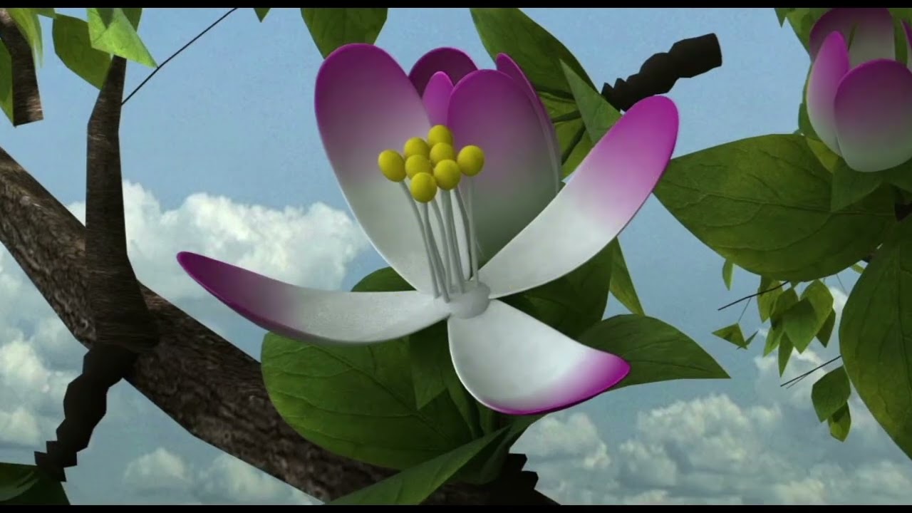GoActiv Mode of Action - Plant Reproduction