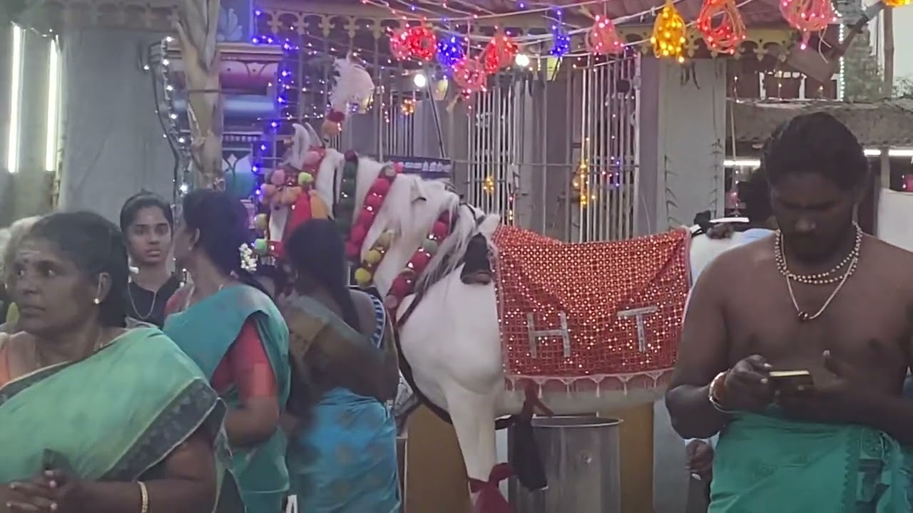 Semang kuthirai at Kottai Karuppar Kovil Tiruppattur