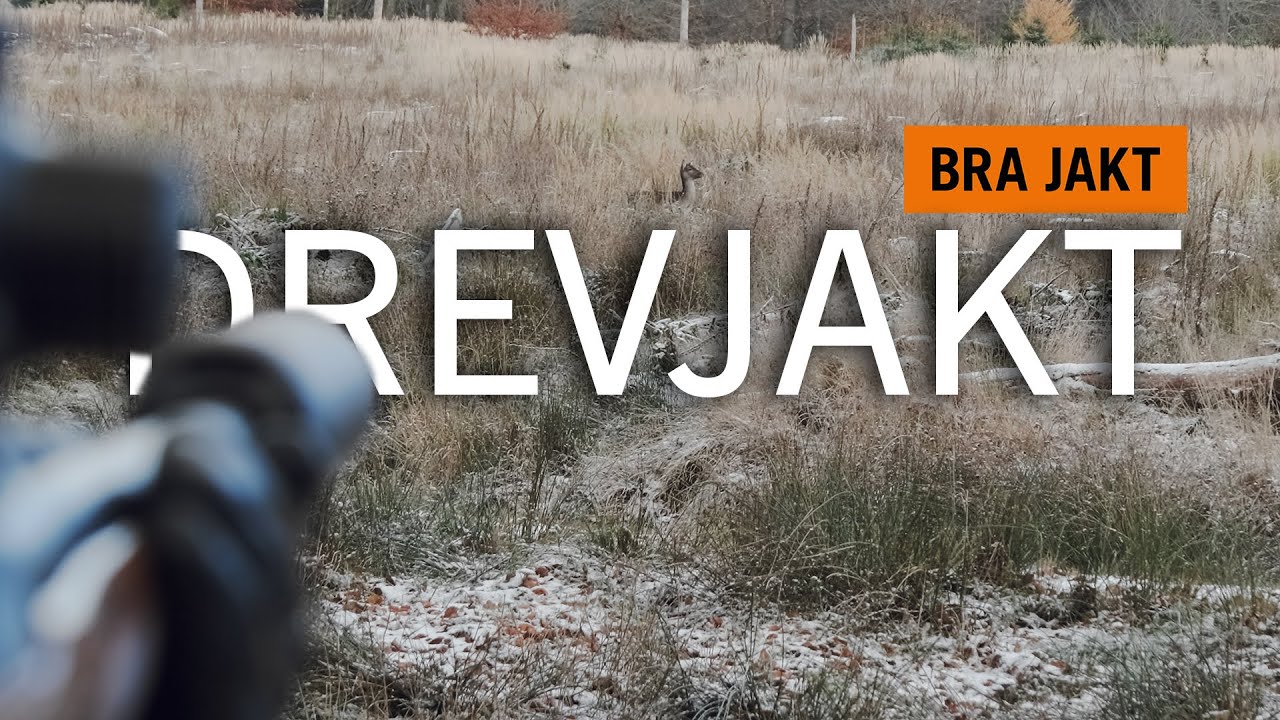 DREVJAKT x 2 - SK&Aring;NE & STOCKHOLMS SK&Auml;RG&Aring;RD! | BRA JAKT