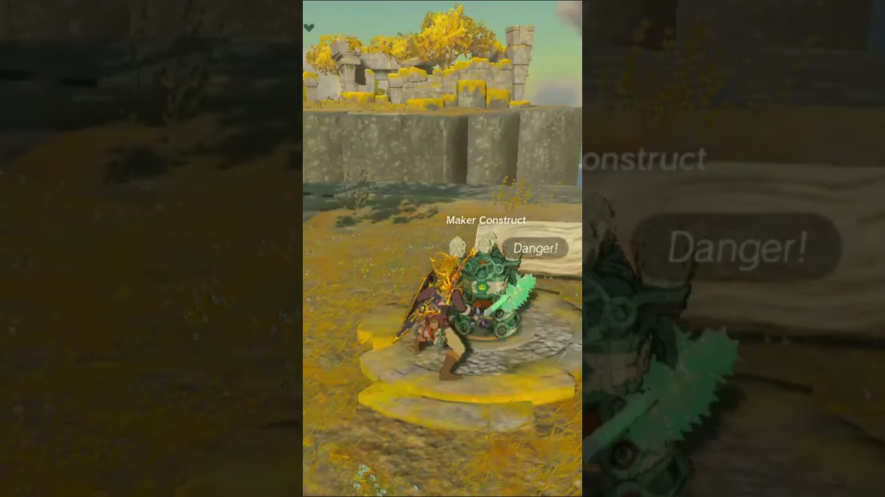 То, что делал каждый игрок в Zelda! #zelda #nintendo #tearsofthekingdom