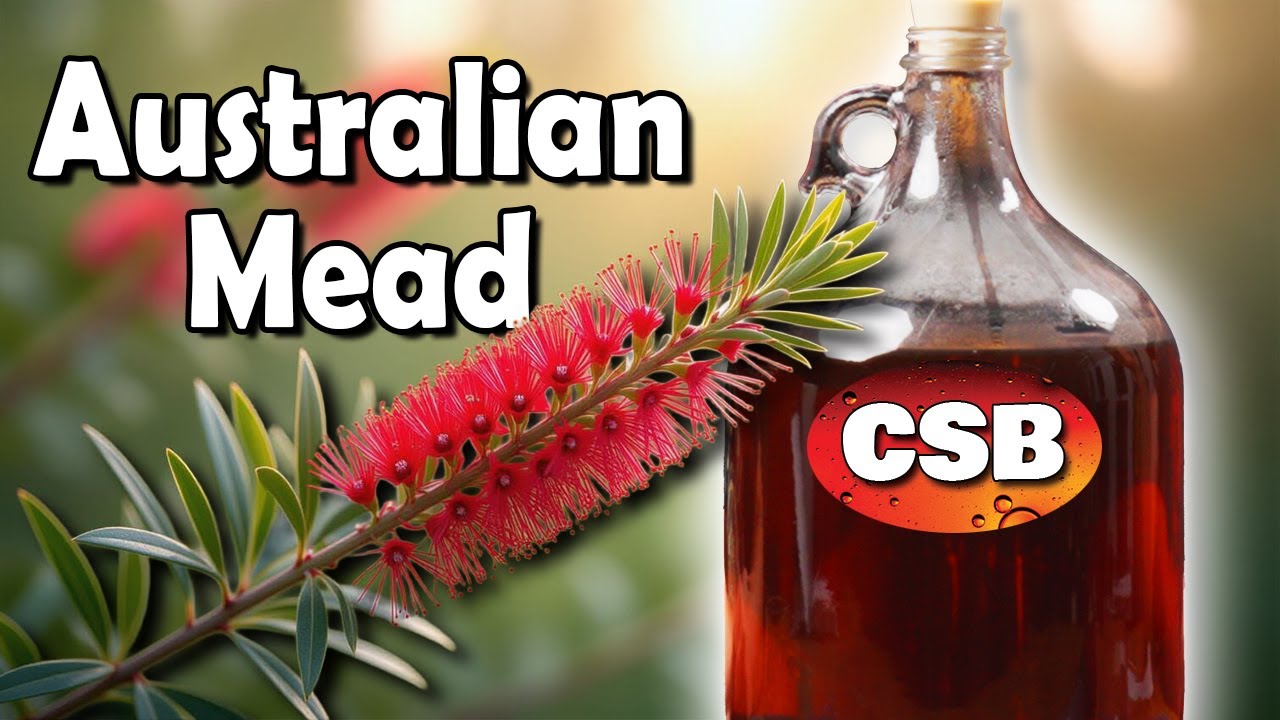 Easy to Make Mead Recipe:  Red Bottlebrush