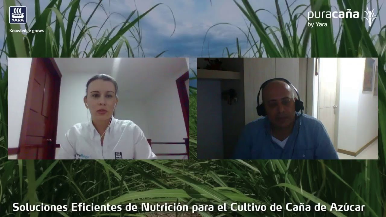 Webinar : Soluciones  Eficientes de Nutrición para el cultivo de Caña de Azucar