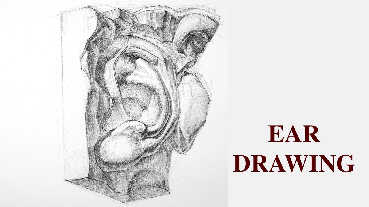 Ear Drawing Part 2 – Advanced Academic Drawing