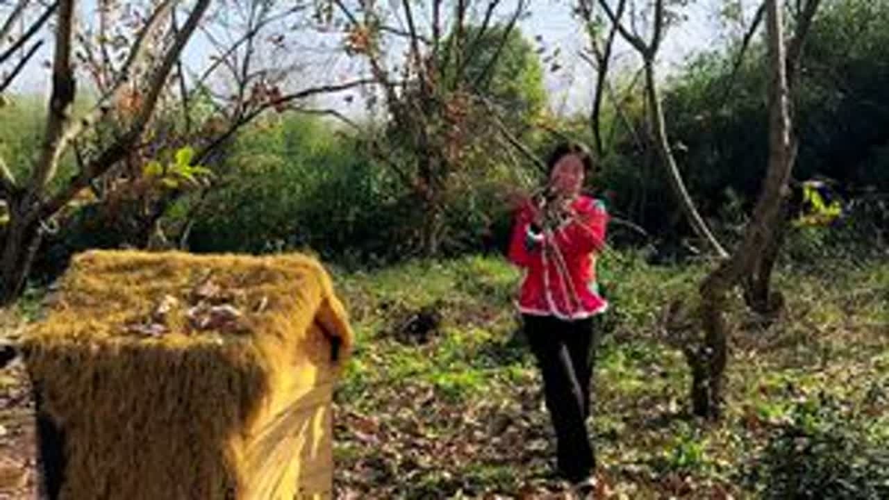 听说这个冬天的快乐是草莓给的，因为：莓心，莓肺，莓烦恼#抖音新农人 #我的乡村生活 #草莓蛋糕
