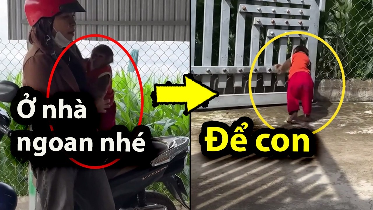 Độc lạ, gia đình nuôi chú khỉ như thành viên trong gia đình | Thomas Edi Long