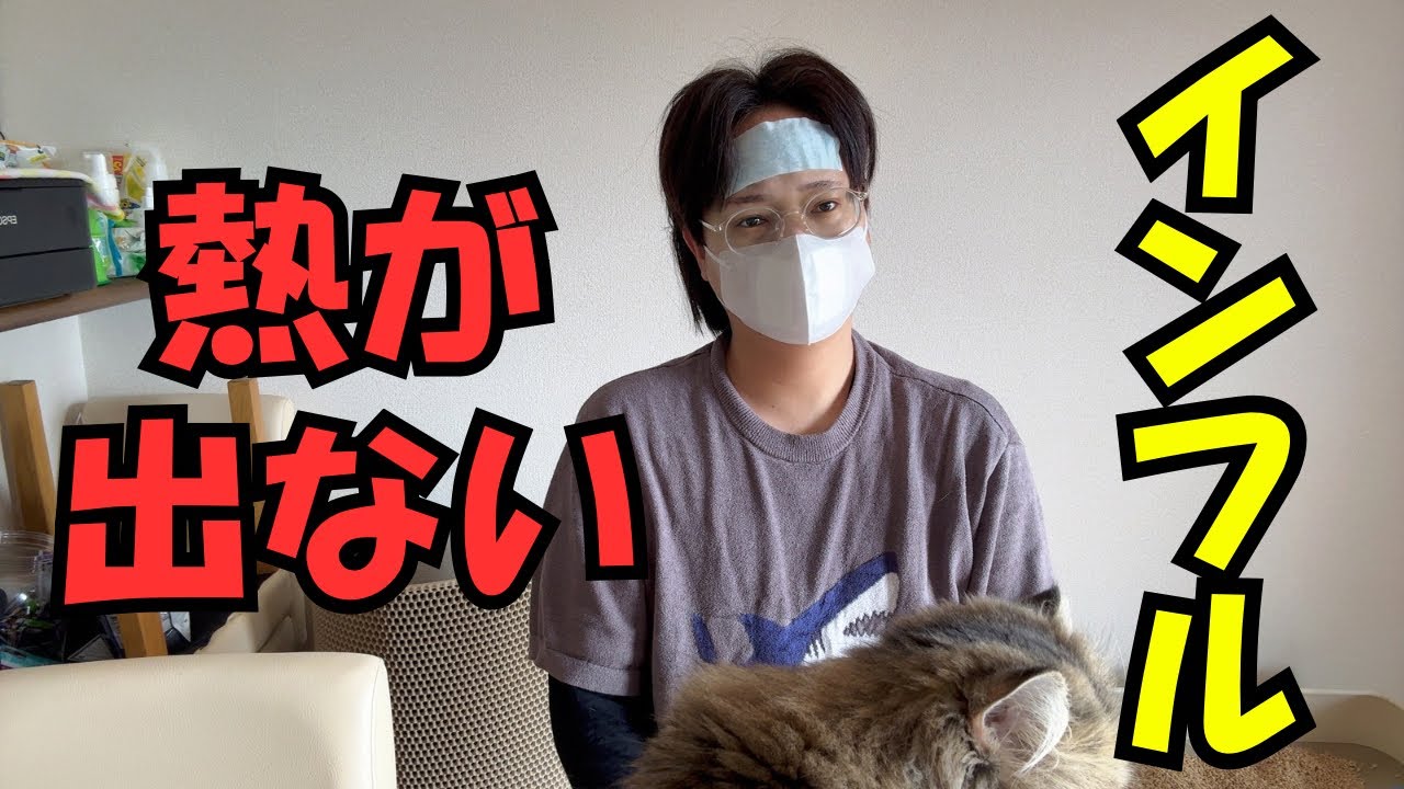 今年流行りの熱が出ないインフルエンザ #隠れインフル #倦怠感