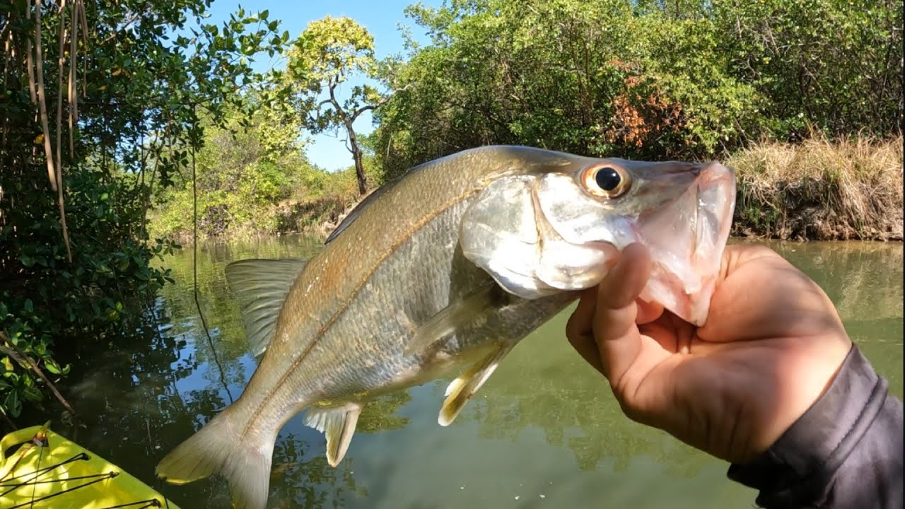 Meu paraíso é aqui 🎣🎣🐟🐠São José da Coroa grande-pe terra das piscinas naturais 