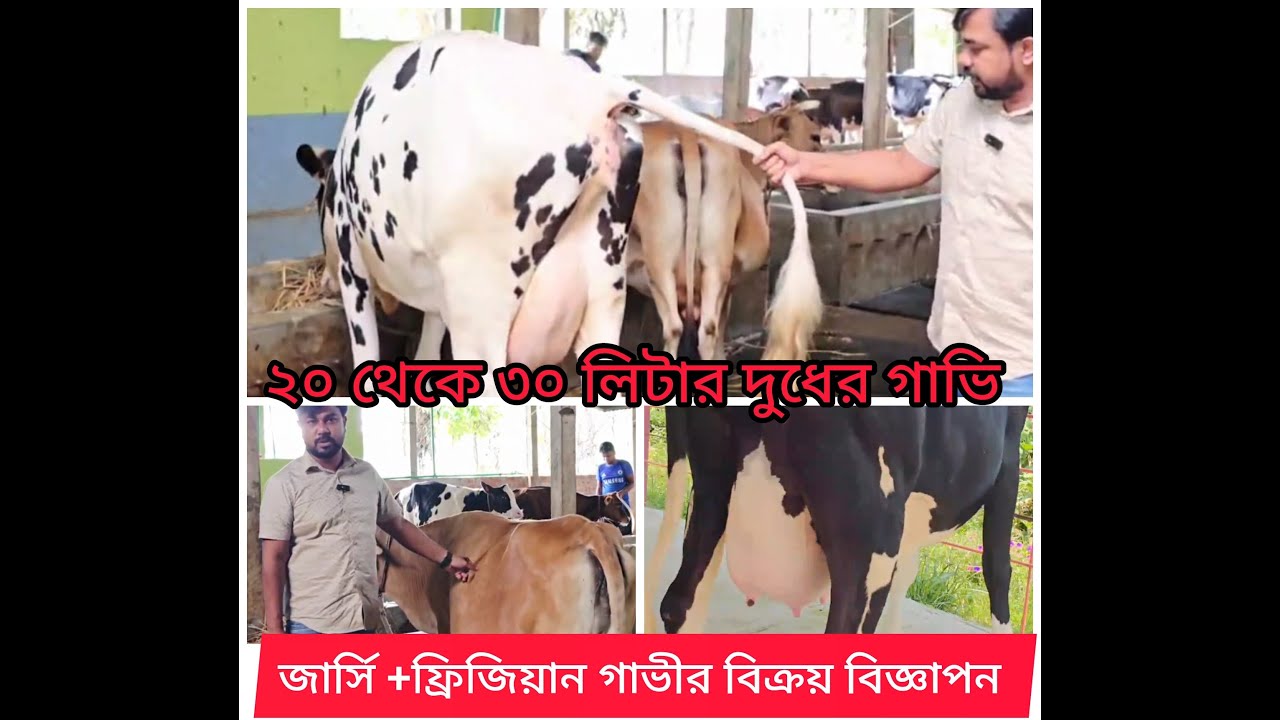 ১০-০৮-২৫ইং_ 