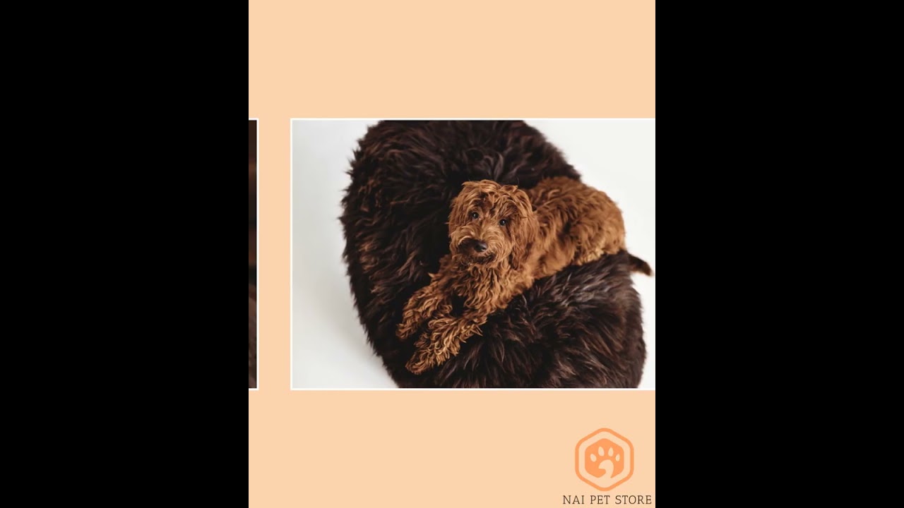 Oval Natural Sheepskin Pet Bed - Chocolate Brown