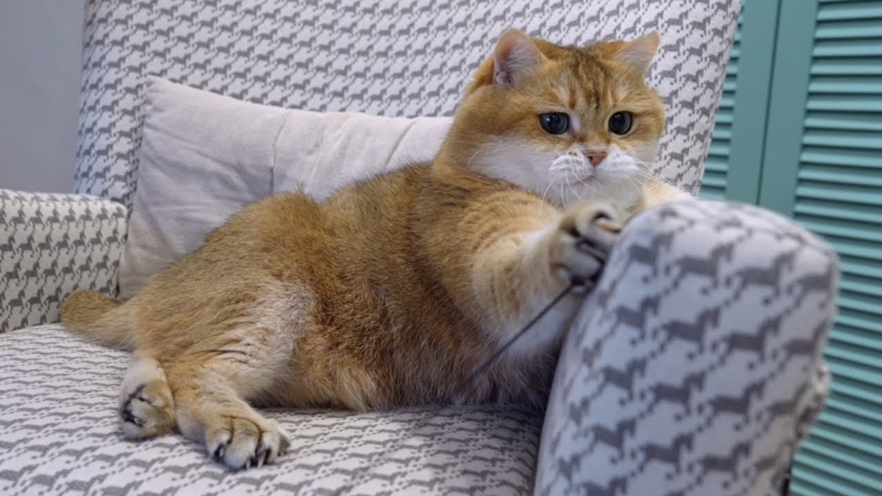 Armchair games