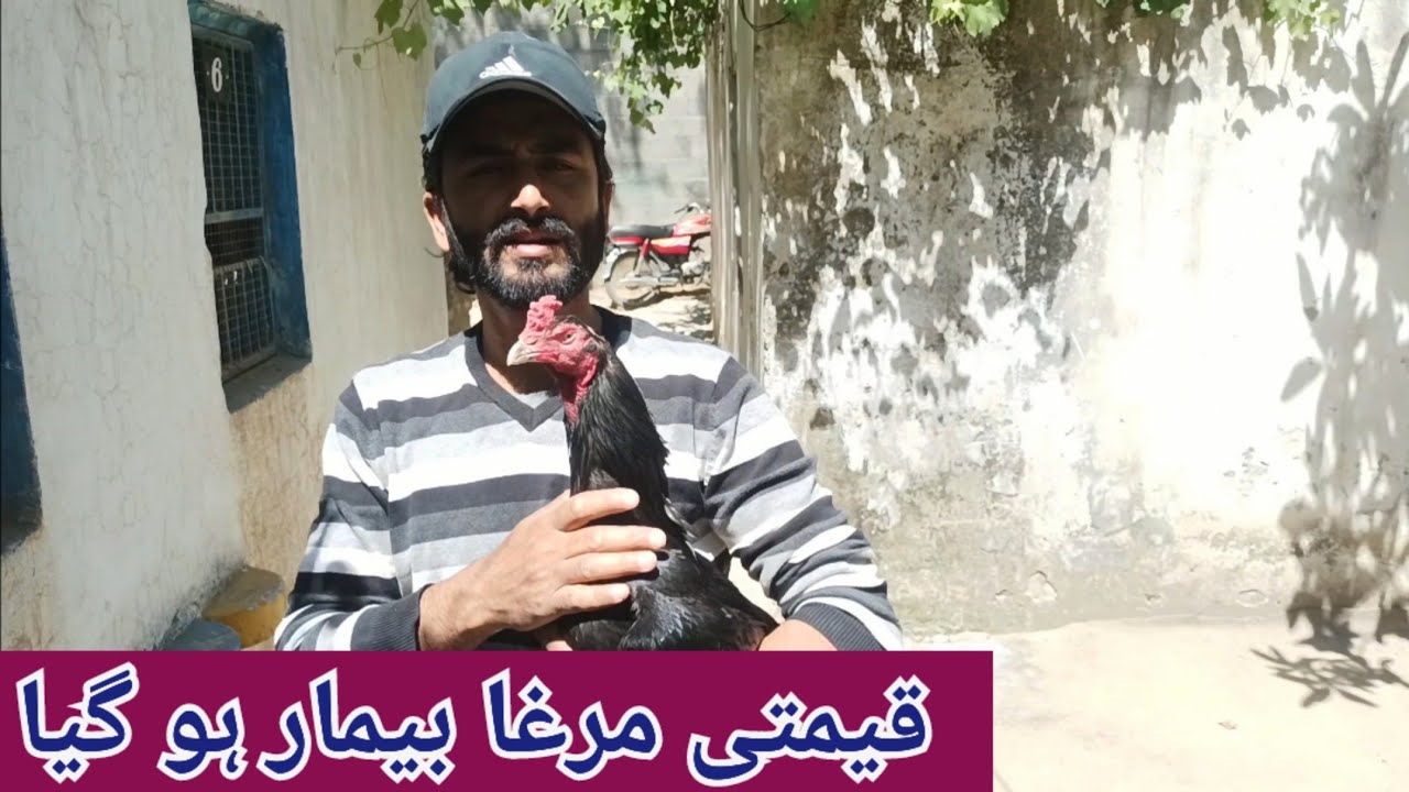Aseel Murga Care | Treatment At Home