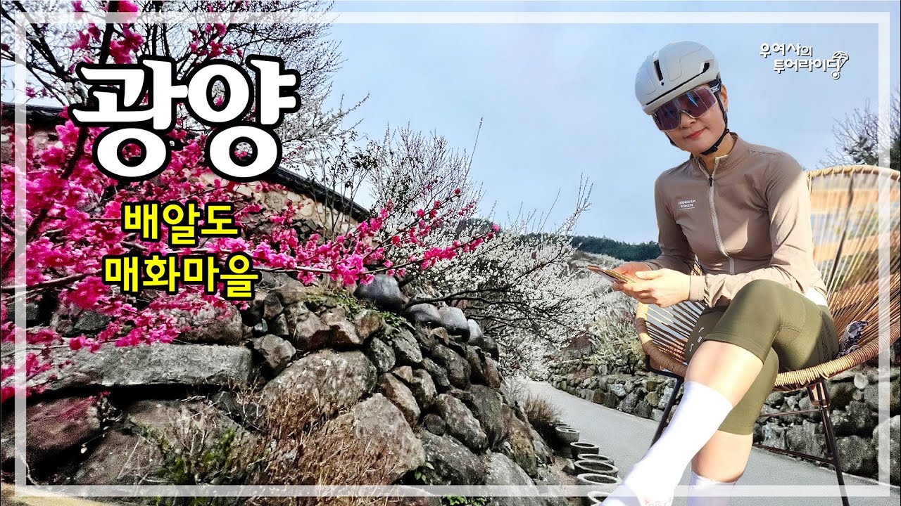 광양 매화마을 투어라이딩 (화개장터-매화마을-수어저수지-배알도-섬진강자전거길) '23.03.18.