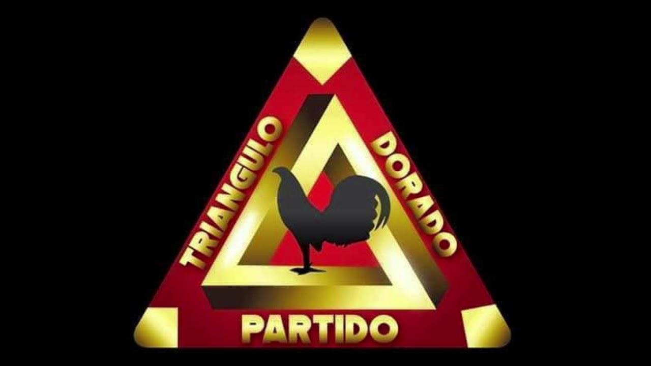 PARTIDO TRIANGULO DORADO **CHUNNY GONZALEZ**