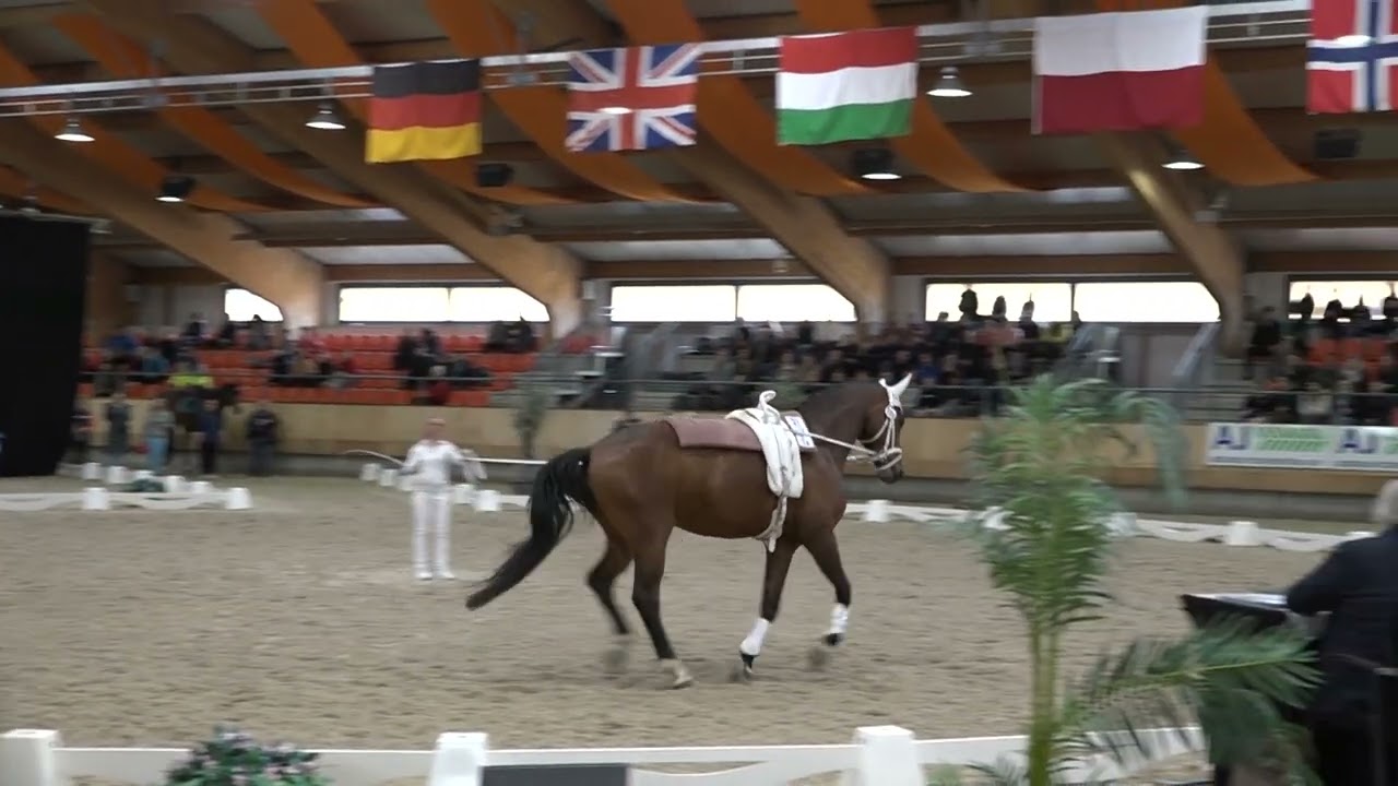 Mara Hofer final freestyle