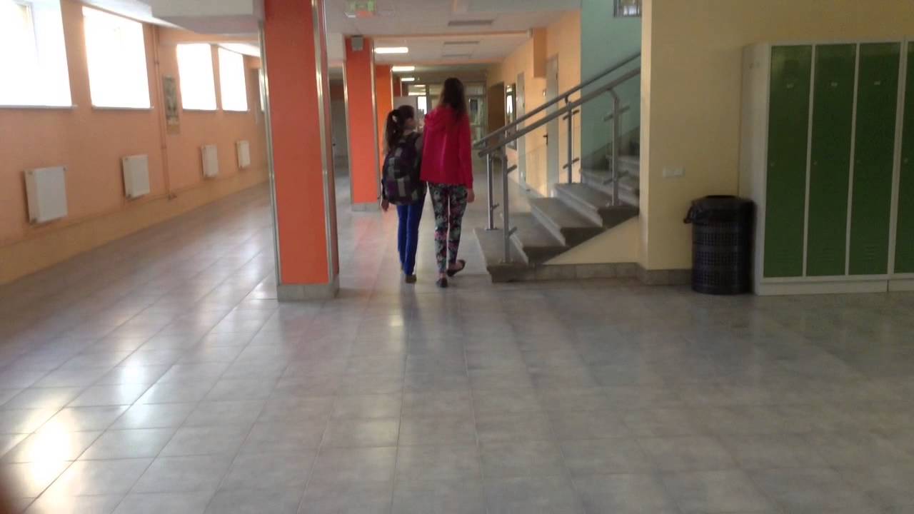 Cesu 2  pamatskola Alise  un Katrina