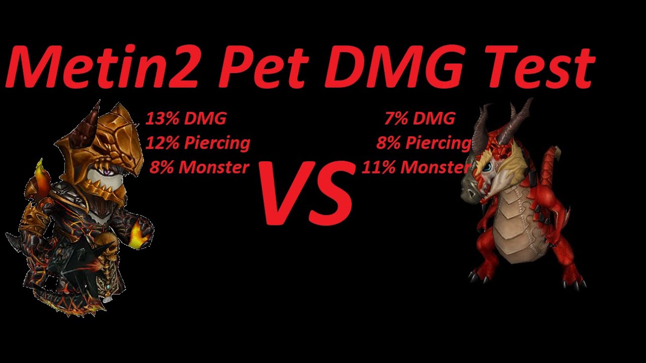 Metin2 PET TEST | Razador VS Meley