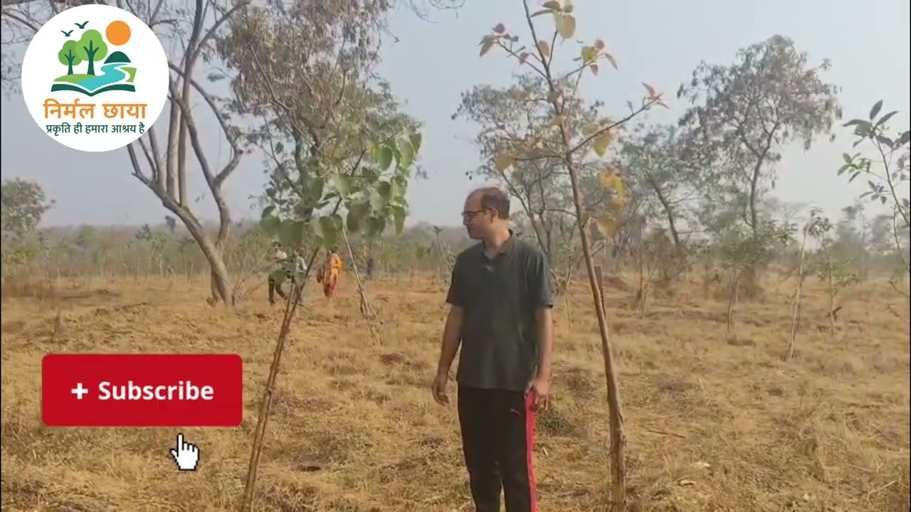 Reasons to plant peepal trees. #nationfirst #rockstars #viral #nirmalchhaya #yshort #youtube #india